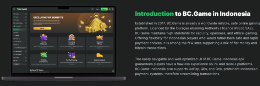 Discover the Exciting World of Bc.Game 2