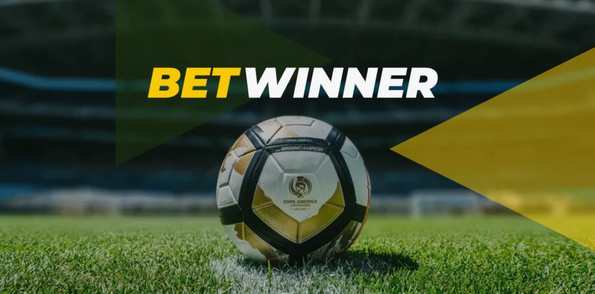 Discover the Thrilling World of Betwinner The Ultimate Betting Experience