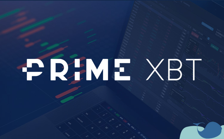 PrimeXBT About Us Your Gateway to Advanced Trading Solutions