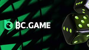 Todo lo que necesitas saber sobre BC Game Casino 29