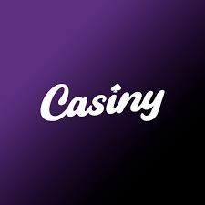 Understanding Casiny Login A Comprehensive Guide to Your Online Gaming Experience